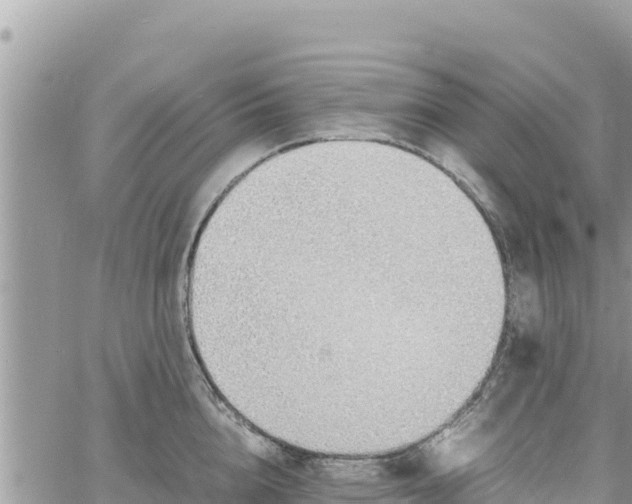 X0000060750856200511171121