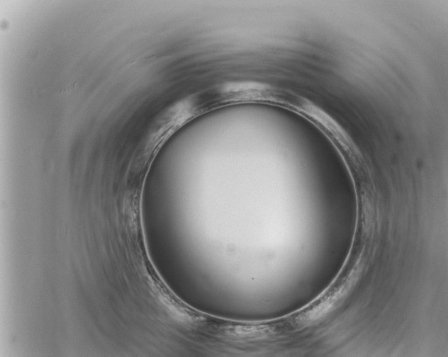 X0000060750857200511171121