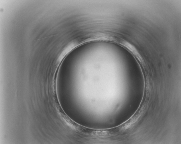 X0000060750858200511171121