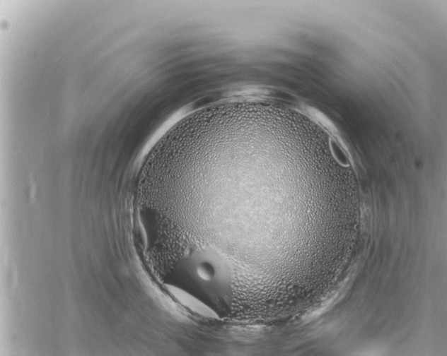 X0000060750859200511171121