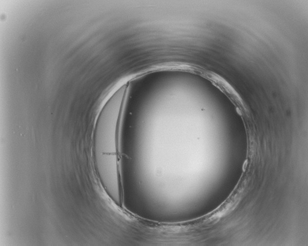 X0000060750860200511171121