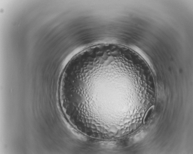 X0000060750861200511171121