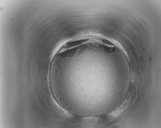 X0000060750863200511171121