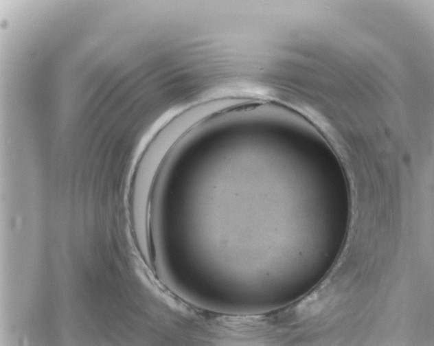 X0000060750864200511171121