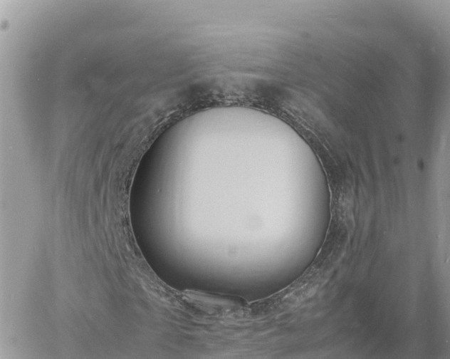 X0000060750865200511171120