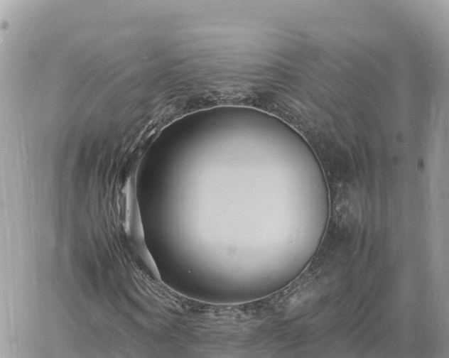 X0000060750866200511171120