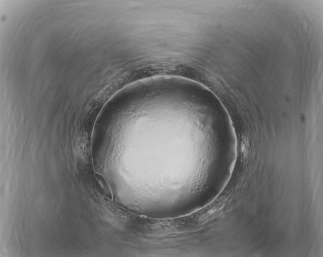 X0000060750867200511171120