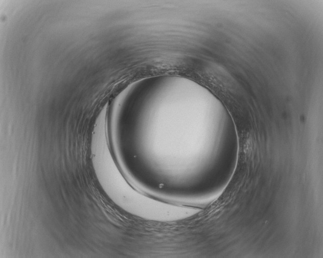 X0000060750868200511171120