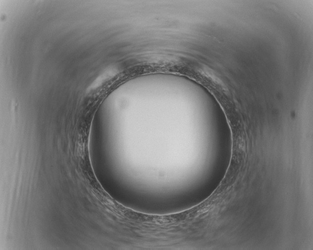 X0000060750869200511171120