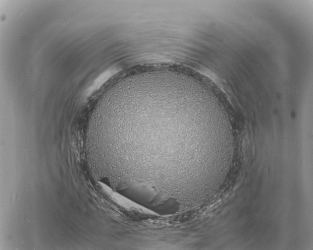 X0000060750871200511171120