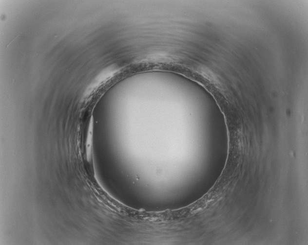 X0000060750872200511171120