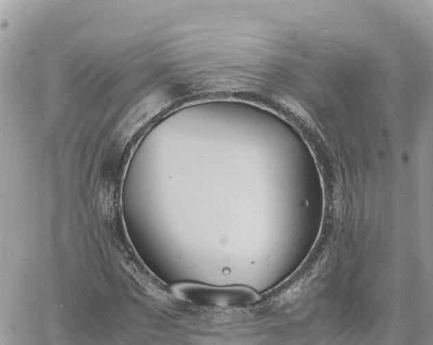 X0000060750873200511171120