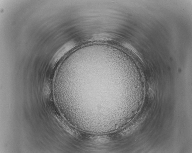 X0000060750874200511171120