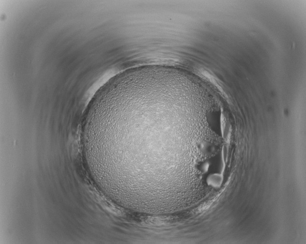 X0000060750875200511171120