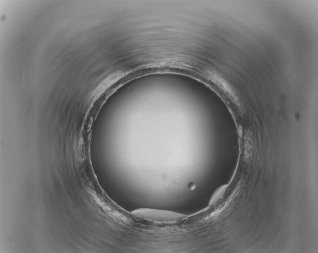 X0000060750876200511171120