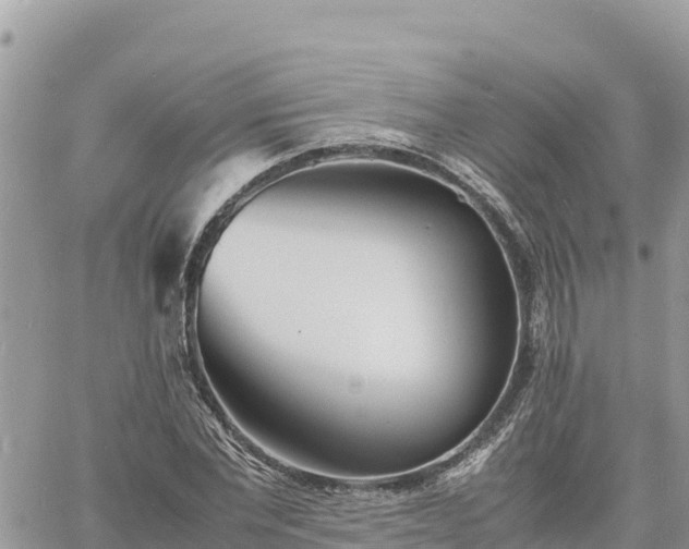 X0000060750877200511171120