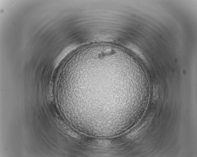 X0000060750878200511171120