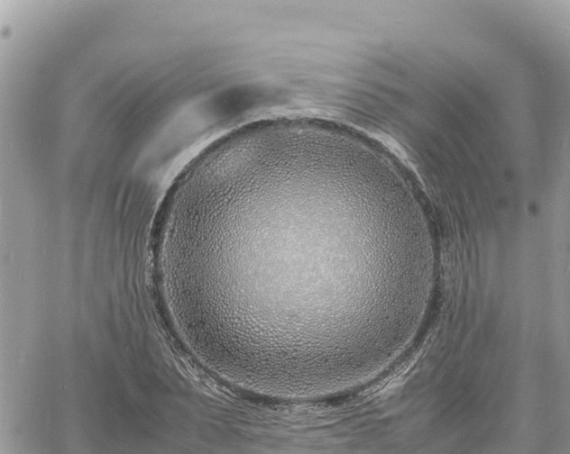 X0000060750879200511171120