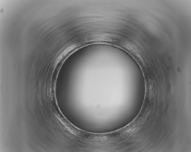 X0000060750882200511171120