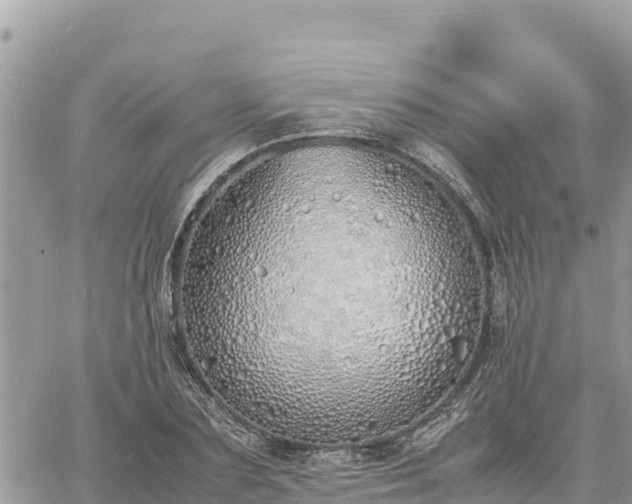 X0000060750883200511171120