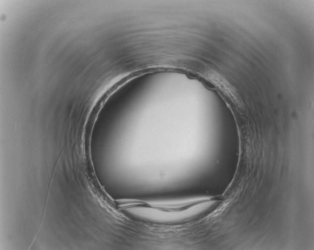 X0000060750884200511171120