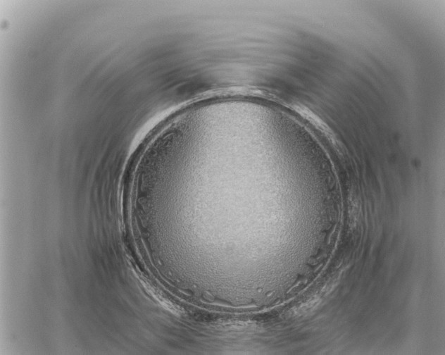 X0000060750886200511171120