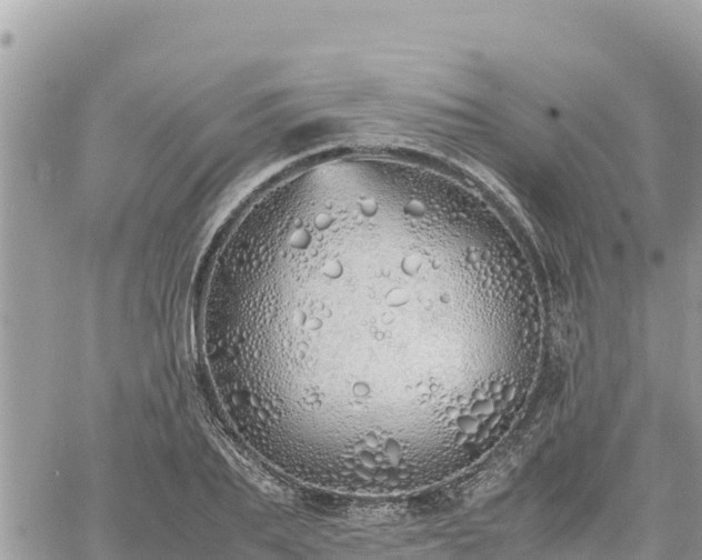 X0000060750887200511171120