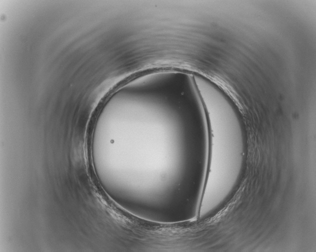 X0000060750888200511171120