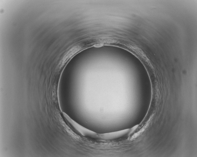 X0000060750889200511171120