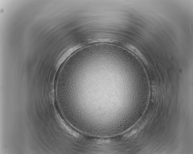 X0000060750890200511171120