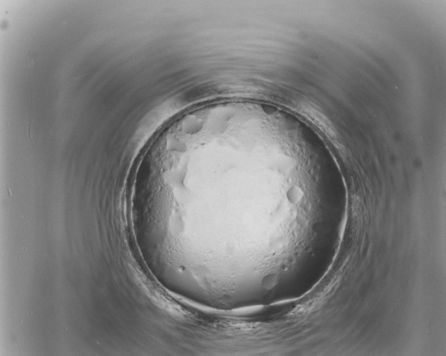 X0000060750891200511171120