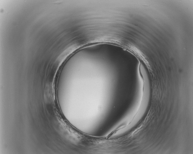 X0000060750892200511171120