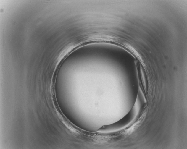 X0000060750893200511171119