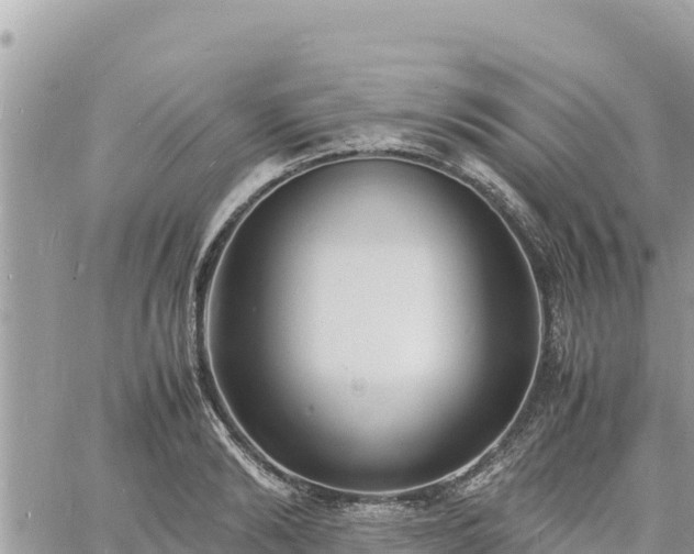 X0000060750894200511171119