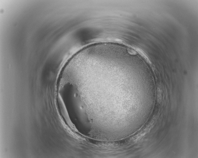 X0000060750895200511171119