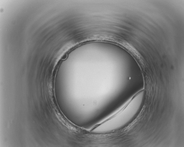 X0000060750896200511171119