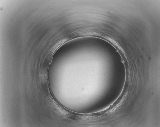 X0000060750897200511171119