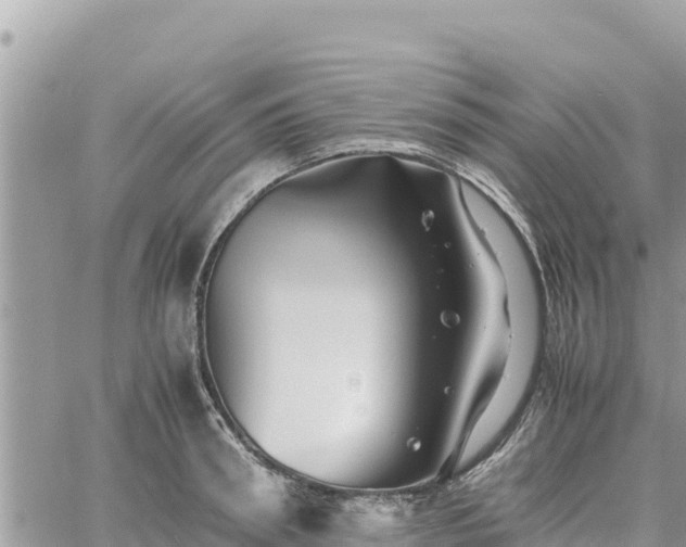 X0000060750898200511171119