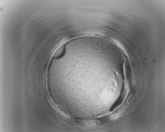 X0000060750899200511171119