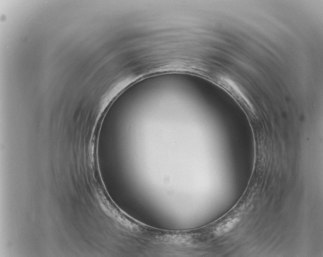 X0000060750900200511171119