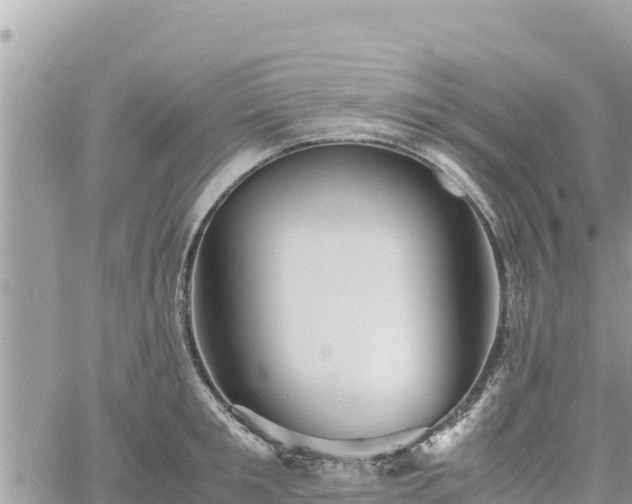 X0000060750901200511171119