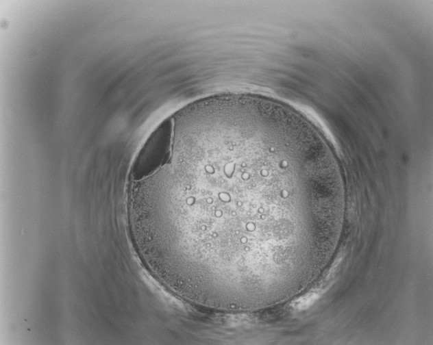 X0000060750903200511171119