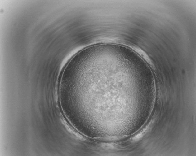 X0000060750904200511171119