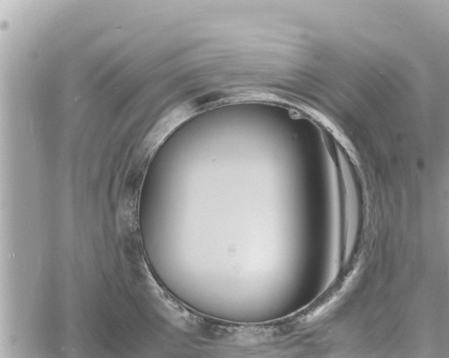 X0000060750905200511171119