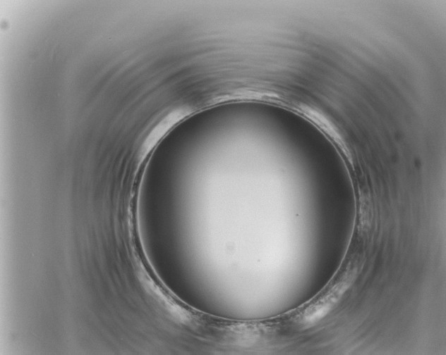 X0000060750906200511171119