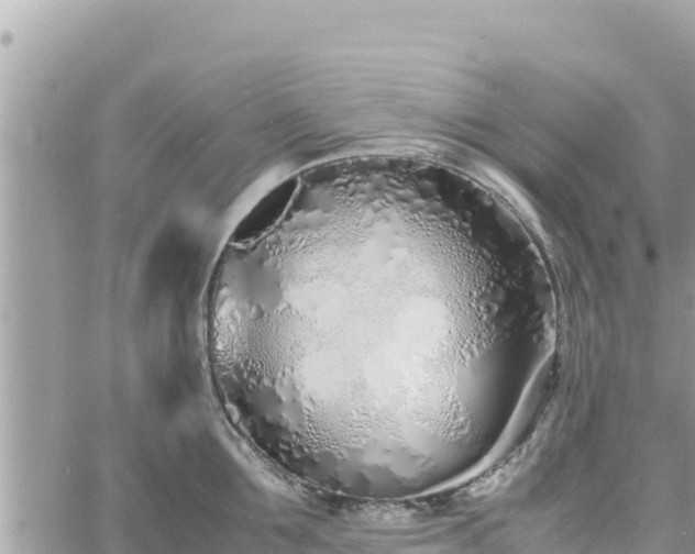 X0000060750907200511171119