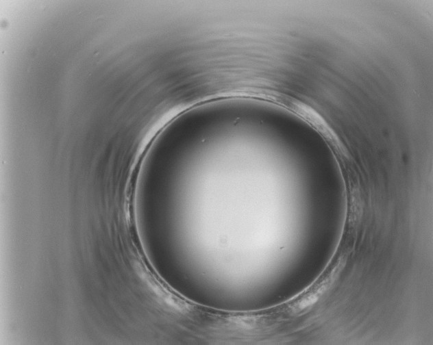 X0000060750908200511171119