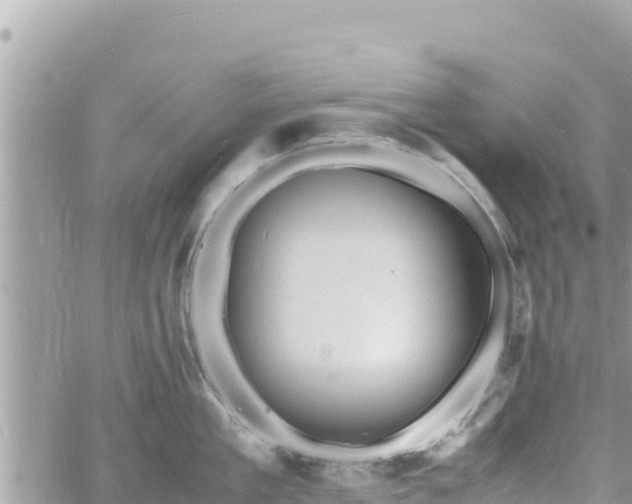 X0000060750909200511171119