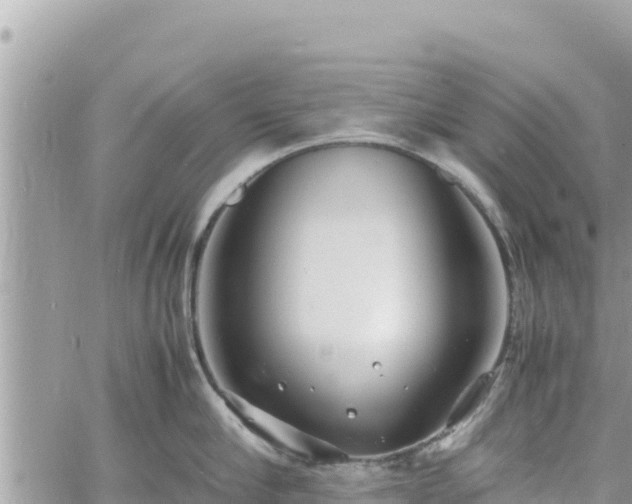 X0000060750910200511171119