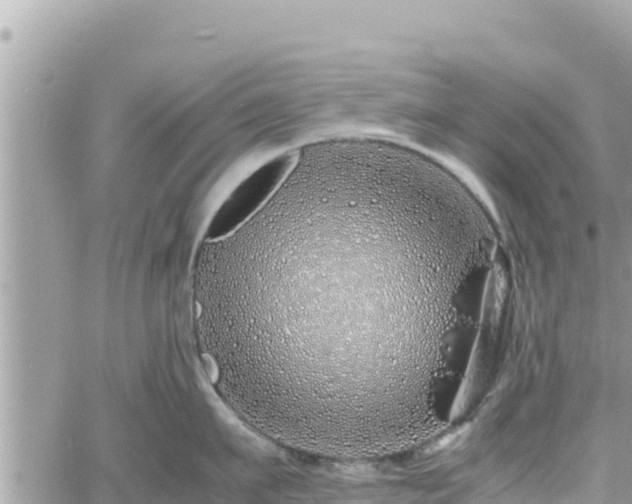 X0000060750911200511171119